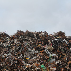 food-waste