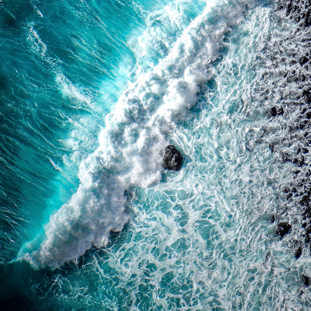 marine-environment
