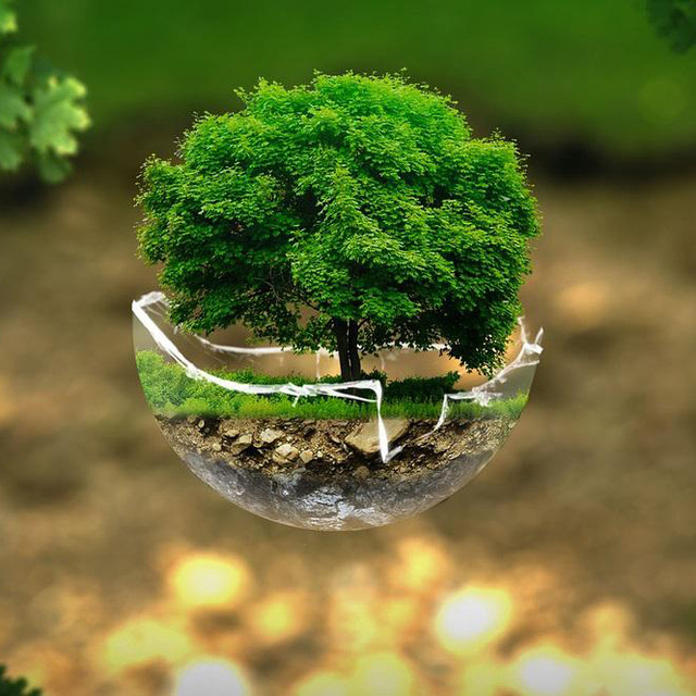 terrestrial-environment